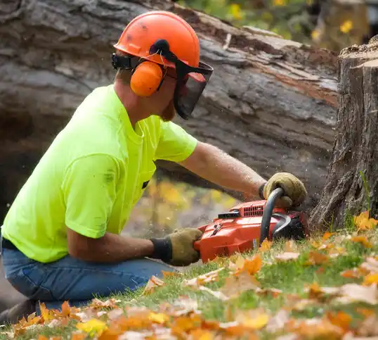 tree services McDowell